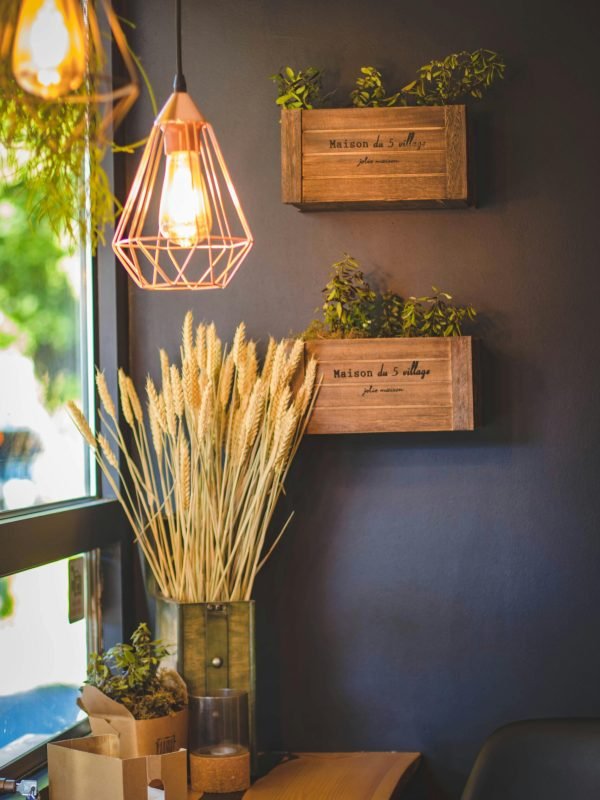 pexels-valeriya-1129413